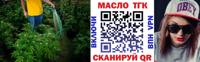 сколько стоит Карасук Дистиллят ТГК гашишное масло