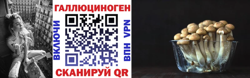 Псилоцибиновые грибы прущие грибы  наркота  Карасук 